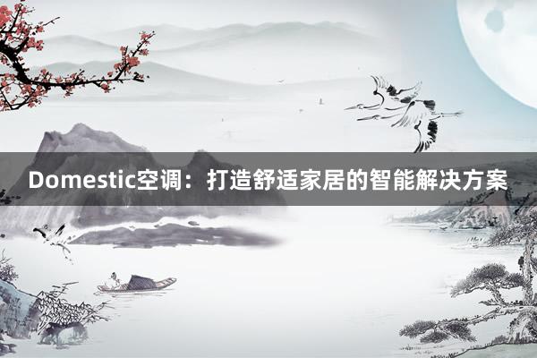 Domestic空调：打造舒适家居的智能解决方案